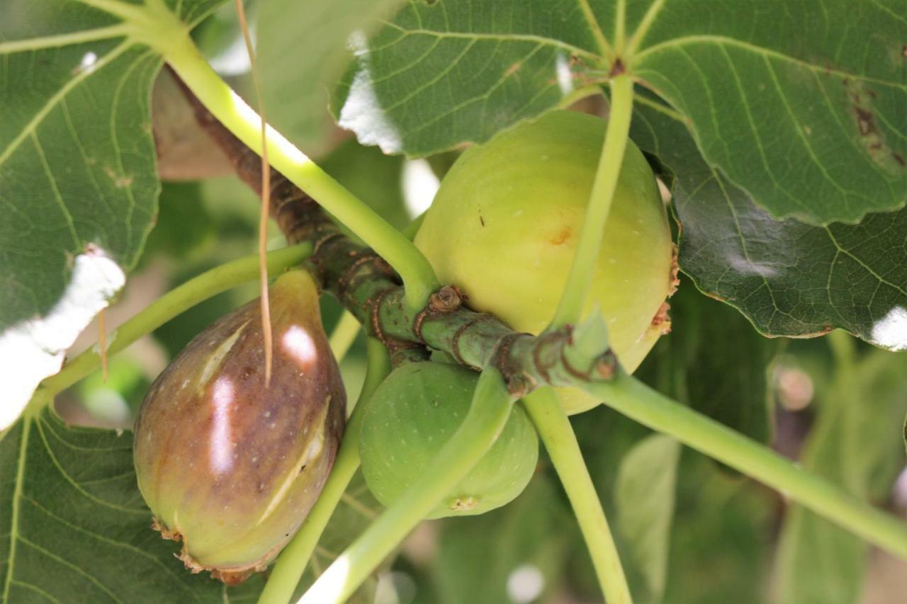 דירות מורסיה La Toscana מראה חיצוני תמונה